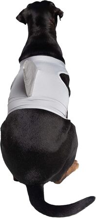 Костюм акули для собак Pet Krewe | Вечірній костюм для собак, святкування дня народження, національного дня котів, Хелловін | Для маленьких та великих собак