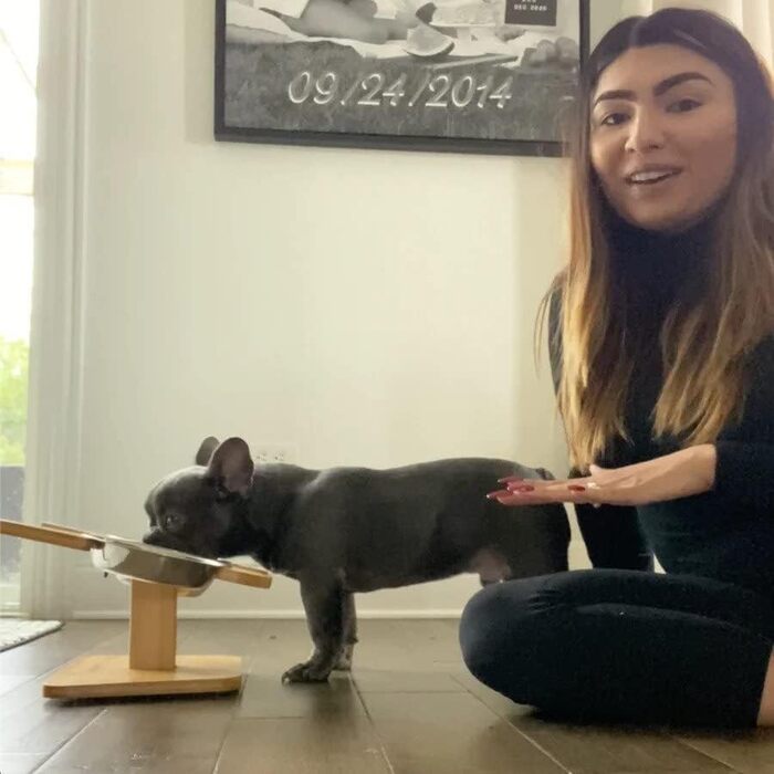 Підставка для мисок NibbleyPets з нержавіючої сталі, набір 3-в-1 для корму та води, для французьких бульдогів і мопсів