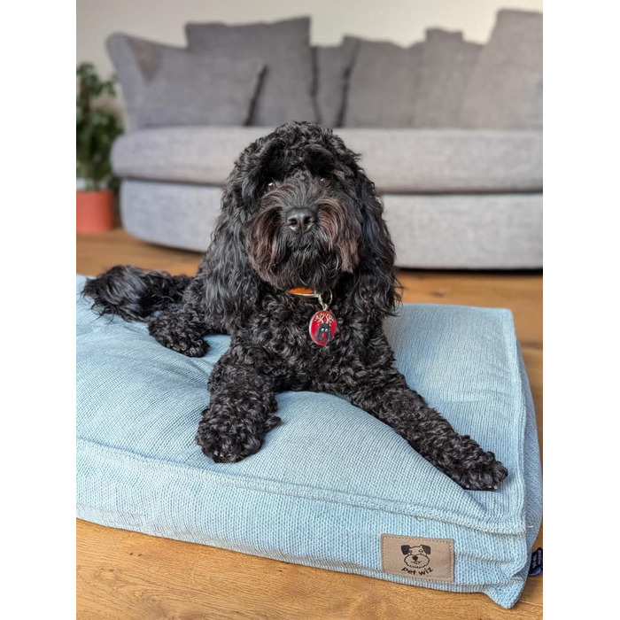 М'яке лежанка для собак з м'якою підкладкою, знімний чохол, світло-сірий та світло-блакитний, 3 розміри, ковдра для собак з антиковзаючою основою, світло-сірий, розмір M (90 x 62 см)