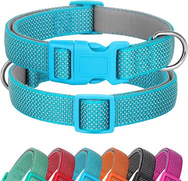 Світловідбиваючий нашийник для собак Didog з пряжкою, регульований, м'який неопрен, з підкладкою, нейлон, для малих, середніх та великих собак, L (M: обхват шиї 25-43 см, блакитний)
