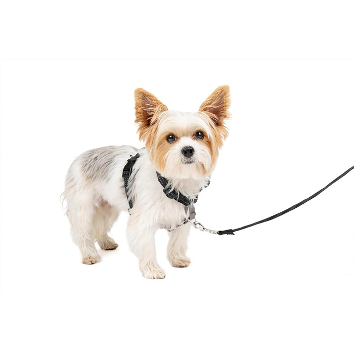 PetSafe 3-в-1 шлея та ремінь безпеки для собак XS, чорна, з анти-ривковим кільцем і фіксацією для авто