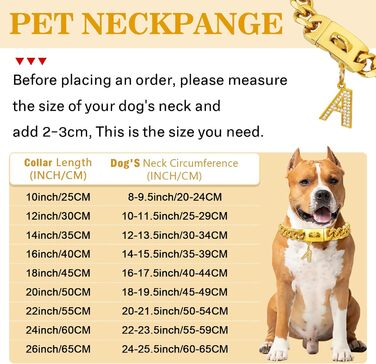 Срібний собачий нашийник 15 мм з кулоном, ланцюжок для прогулянок з нержавіючої сталі з кубинськими зв'язками, міцний, не кусається, для собак малих та середніх порід (55 см, золото-19 мм)