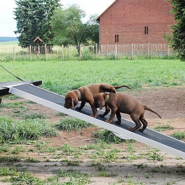 Рампа для собак Petigi: пандус у багажник авто, складна, алюмінієва, 244 см