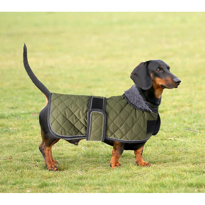 MOREZI Зимовий теплий зимовий одяг для собак Такса - Водонепроникний пуловер для собак з вовняним утеплювачем та регульованими ременями, теплий зимовий одяг для маленьких собак на вулиці - Зелений, L (довжина спини: 47-50 см), Зелений (XS (довжина спини: 