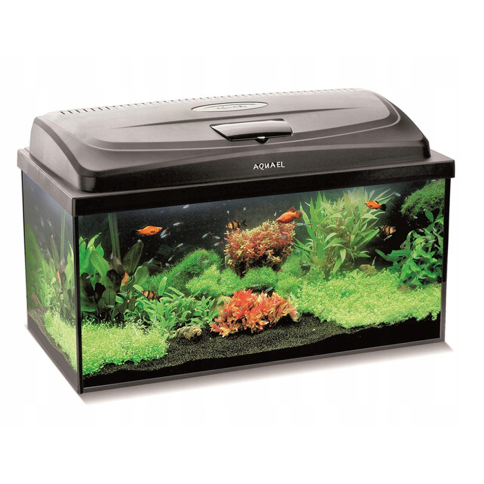 Комплект акваріума Aquael Box 112л (80x35x40) з освітленням 