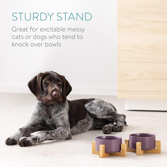 Набір мисок для котів та собак Navaris з підставкою Babus - 2 миски з кераміки, фіолетовий матовий (S)