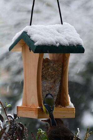 Годівниця для птахів Dobar® 90040FSCe Silo - годівничка з масиву дерева для саду, тераси, балкону - 22 x 25 x 28 см, зелена