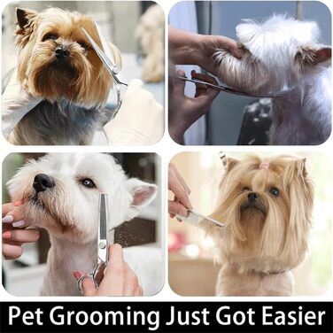 Професійна вигнута ножиця для грумінгу собак та котів з нержавіючої сталі 440C (7.5 дюймів)