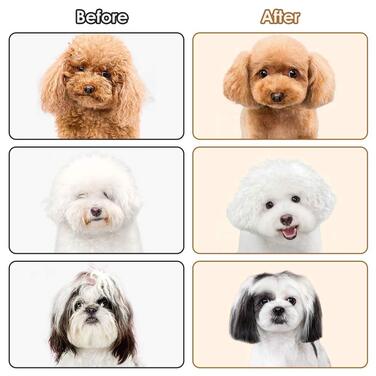 Набір професійних ножиць для грумінгу собак, набір ножиць для собак, ножиці для грумінгу тварин, професійні ножиці для собак