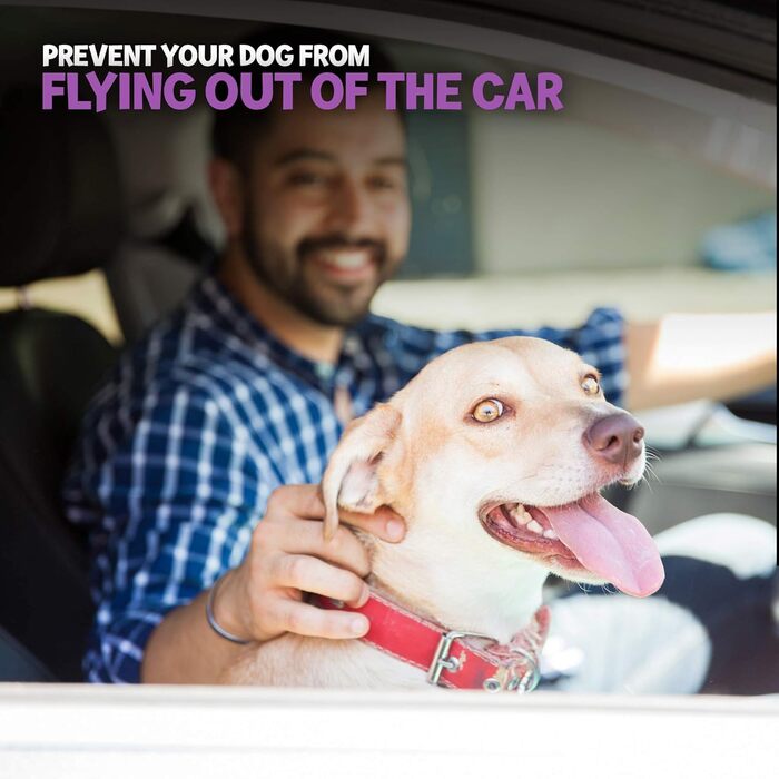 Автомобільний поводок для собак Пудель: регульований нейлоновий ремінь, металевий кріплення, безпечний та надійний (малий)