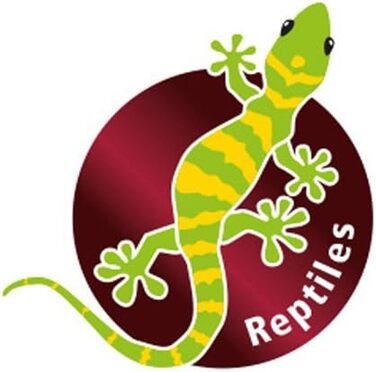 Декоративна тарілка-підставка Hobby Stump, 27,6 x 19,4 x 7,4 см, 1 шт.