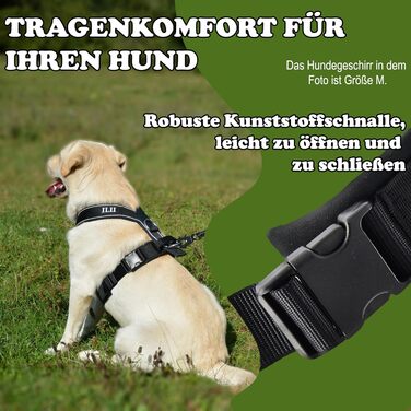 Нашийник для собак ILII - міцний, елегантний та комфортний. Унікальний дизайн для середніх та великих собак. Чорний, мінімальне покриття.