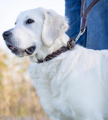 Сплетене шкіряне ошийник для собак – Міцний ручної роботи з преміум-шкіри буйвола Clarissa (M (36.0-45.0cm))