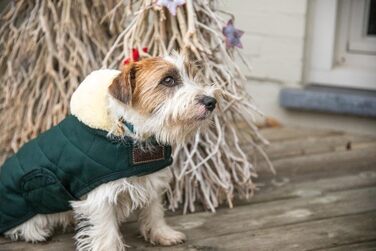 Зимовий теплий одяг для собак Kentucky Hundemantel, темно-зелений, XL, 60-70 см