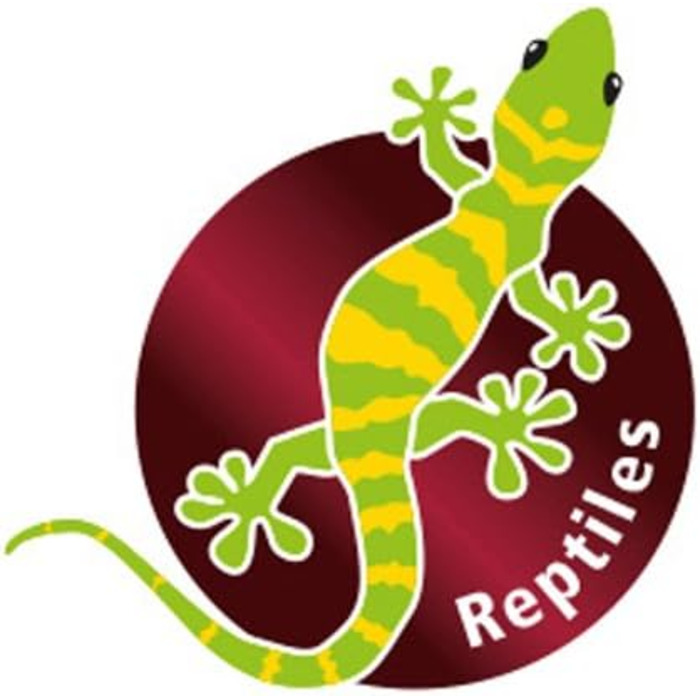 Декоративна тарілка-підставка Hobby Stump, 27,6 x 19,4 x 7,4 см, 1 шт.