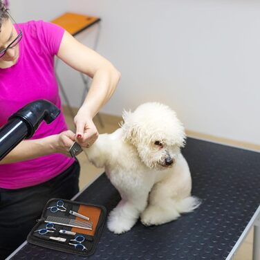 Набір професійних ножиць та гребінців для грумінгу собак та котів. Ергономічні ножиці та гребінці для точного стриження. Підходить для цуценят та дорослих тварин.