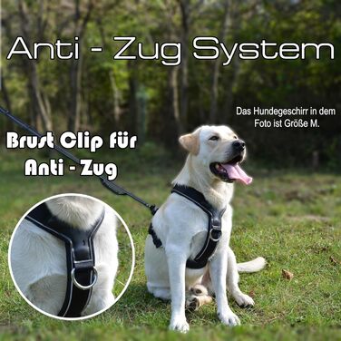 Нашийник для собак ILII - міцний, елегантний та комфортний. Унікальний дизайн для середніх та великих собак. Чорний, мінімальне покриття.