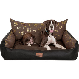 колір: браун з лапами