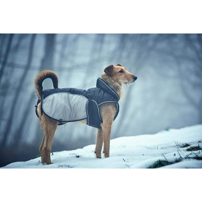 HUNTER Uppsala Extreme: зимовий непромокальний одяг для собак, чорний/сірий, 52-58/71-86 см