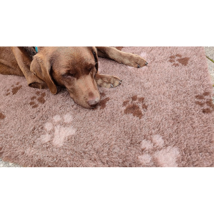 Підстилка для собак Drybed, розмір 100x80 см, коричнева, антиковзаюча, для відпочинку та сну