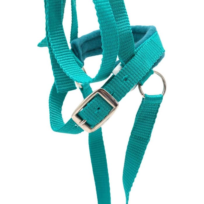 Зауваження для іграшкових коней PFIFF 'Lotty' (Турквіс), 103126 - іграшкове вуздечко, універсальний розмір