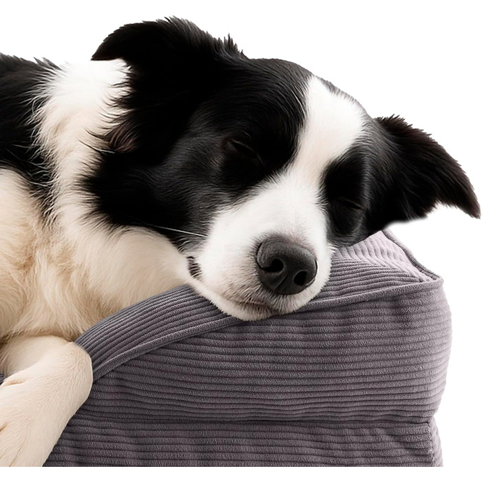 Ортопедичне ліжко для собак зі структурою, 90х65 см, для середніх порід