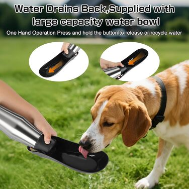 Водяна пляшка для собак на прогулянці - витокозахисна, з нержавіючої сталі, подвійні стінки, вакуумна ізоляція, 750 мл (Чорний)