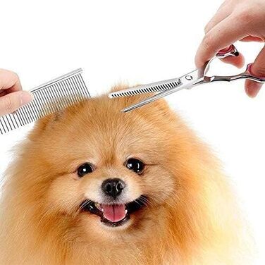 Набір для грумінгу собак та котів: професійні ножиці, тример, щітка, для догляду за шерстю
