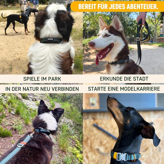 Нашийник для собак Nomadog Trailblazer з ручкою для великих собак - преміум алюмінієва застібка, міцний тактичний нашийник, регульований, з підкладкою, світловідбиваючий (L)