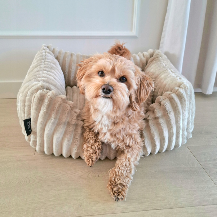 Плюшеве лежак для собак BELLA, 60x40 см, бежевий