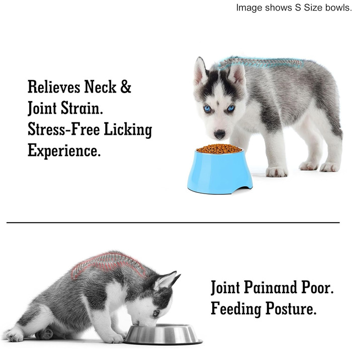 Миска для собак Petvillage, конусоподібна, неслизька, з нержавіючою сталею, піднята миска для середніх собак, спанієлів з довгими вухами, велика місткість, розмір L, 3 чашки, (Medium(2 чашки), аква блакитний)