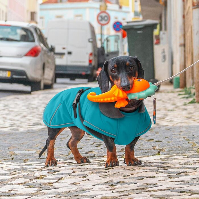 Зимовий антідощовий антівітряний антіфільтр для такс, тепла куртка для собак, теплий антіфільтр для собак з захистом живота та отвором для повідка, зимові куртки для собак (S, Marine)