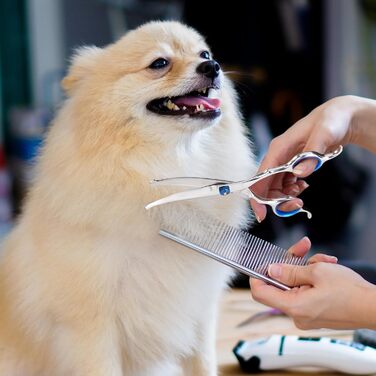 Набір професійних ножиць для грумінгу собак та котів, 4 шт. з безпечними закругленими кінцями, сталевий гребінець, шкіряний чохол