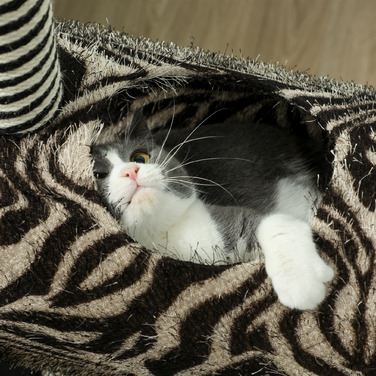 Кігтеточка PawHut Zebra Design з котячим тунелем Ø25 см, Cat Tree 93 см, стовбури для дряпання Black White для кішок