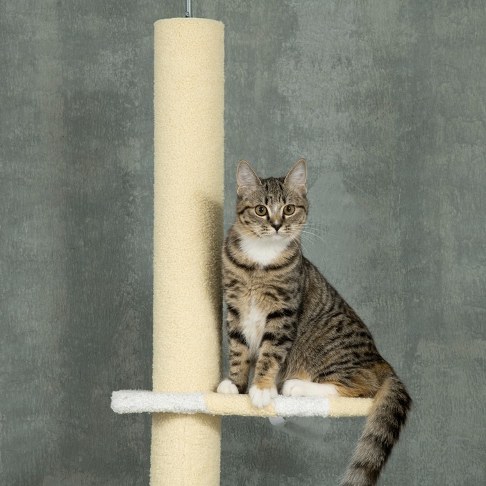 PawHut Cat Tree, Кігтеточка для кішок Висота стелі, 220-260 см, Лазіння по дереву з Play Ball, Котяче дерево з регулюванням висоти, Ігрове дерево із захистом проти нахилу, Плюш, Жовтий | Аосом