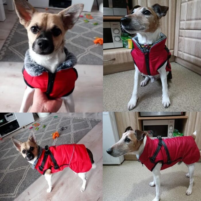 Зимові куртки для собак, жилети для собак з шлейкою, тепла куртка для собак, зимові куртки для собак для вітру та вологи, відбивачі, флісова зимова куртка для маленьких, середніх та великих собак (червоний, L) L червоний