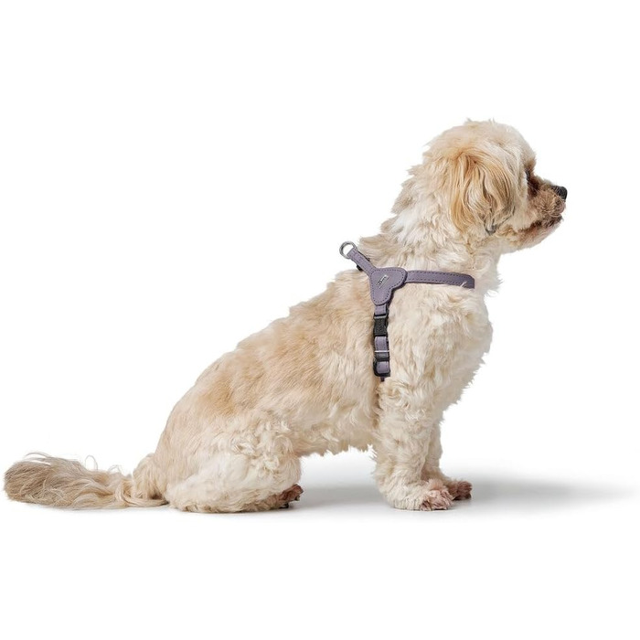 Нашийник для собак HUNTER SOHO MINI, чорний, з натуральної шкіри, м'який, для маленьких собак та цуценят, виготовлено в Німеччині, розмір XS