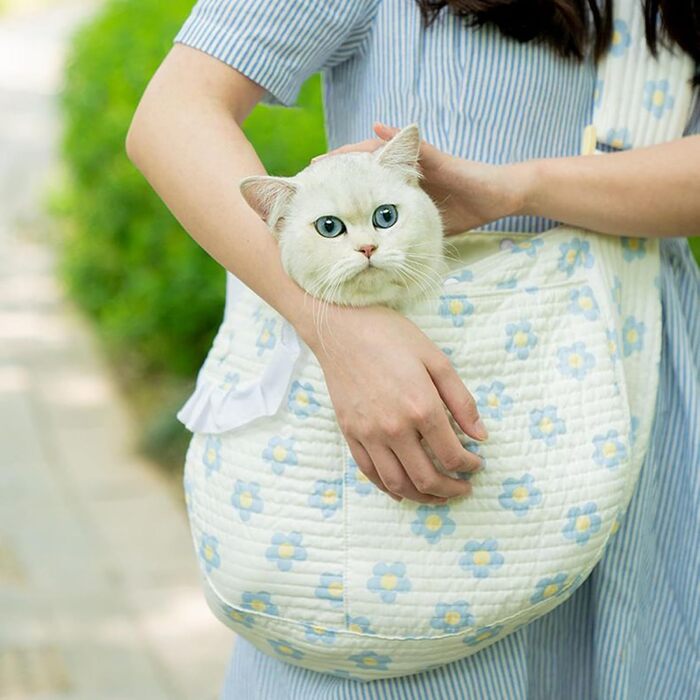 Сумка-переноска для собак Yanzisura - блакитна, 15x15x5 см