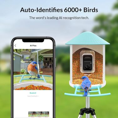 NETVUE Birdfy розумна годівниця для птахів з камерою, Wi-Fi, сонячною панеллю та безкоштовною AI-ідентифікацією птахів, автоматичний відеозапис, синя