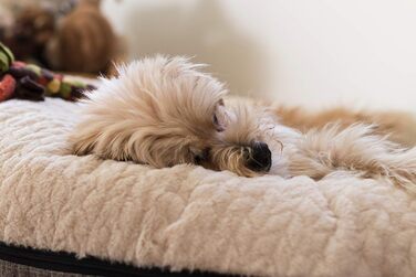 TrendPet Велике м'яке ліжко для собак, подушка (60x20 см)