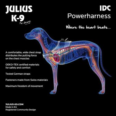 Шлея для собак IDC Power, розмір XL/2, з прапором США