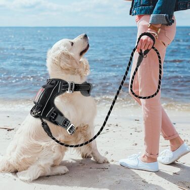 BARKBAY шлейка для собак, анти-натяг, світловідбиваюча, з переднім кріпленням і ручкою для контролю, для прогулянок, тренувань, бігу, з кишенею для жетона, океанічно-синя, розмір L