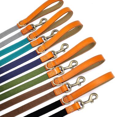 Персоналізований набір повідка та нашийника для собак з нейлону та шкіри, блакитний, S