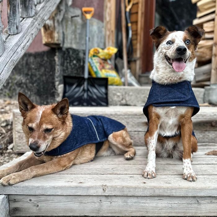 Carhartt утеплений собачий жилет із міцної водостійкої тканини, без PFAS, джинсовий, XL – куртка для собак для холодної та вітряної погоди