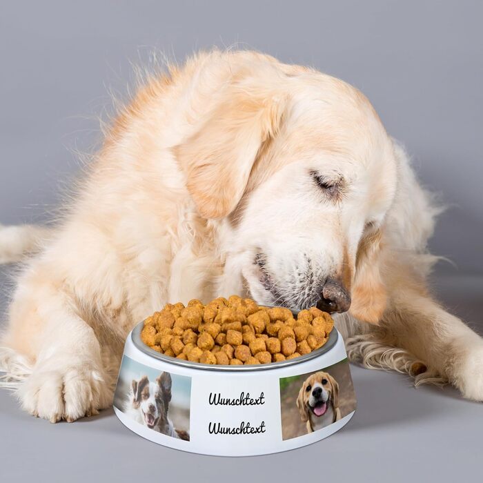 Миска для корму для собак PhotoFancy® з фотографією - персоналізована з власним дизайном (Layout 4)