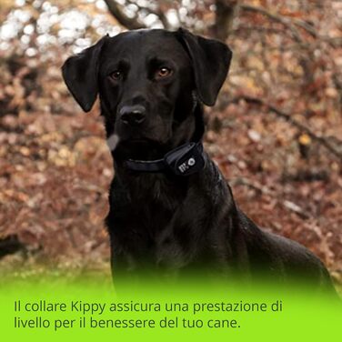 Нашийник для собак Кіппі EVO, світловідбиваючий, для маленьких порід, м'який та зручний, розмір L