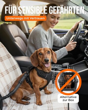 Автогурт для собак 'Argo' – регульований безпечний ремінь з амортизацією та ISOFIX, підходить для всіх порід (Чорний, S, 35-45 см)