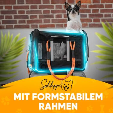 Транспортна сумка для собак Schleppo, 7 кг, дихаюча - для автомобіля та дому - водовідштовхувальна та безпечна - також підходить для транспортування котів - переноска для собак