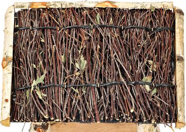 Коттарбау® годівниця для птахів з натурального дерева, балконна годівниця для птахів, годівниця для диких птахів