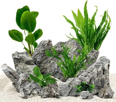 Набір акваріумних рослин AquaOne: 5 водних рослин для акваріума (Lilaeopsis, Lagenandra, Cryptocoryne, Echinodorus) – ідеально для початківців